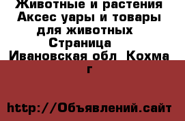 Животные и растения Аксесcуары и товары для животных - Страница 3 . Ивановская обл.,Кохма г.